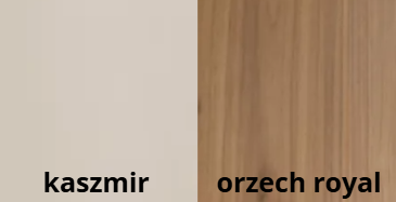 kolor 1 .png