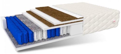 FAMILY MAX DOUBLE.PNG