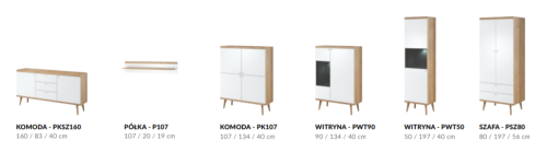 Elementy zestawu Primo 2.PNG