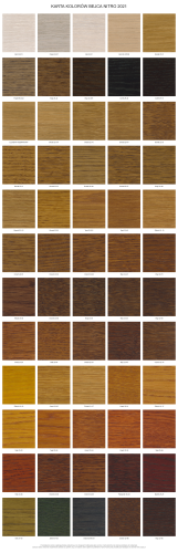 KARTA KOLORÓW BEJCA NITRO 2021.png