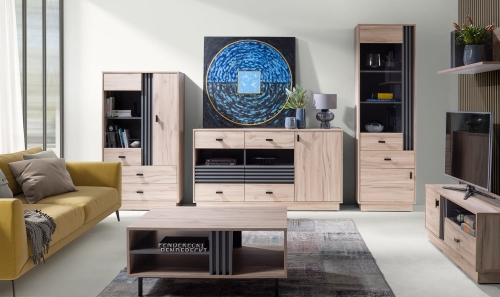 meblar 17 01 23_2a.jpg